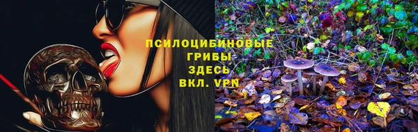 спайс Белокуриха