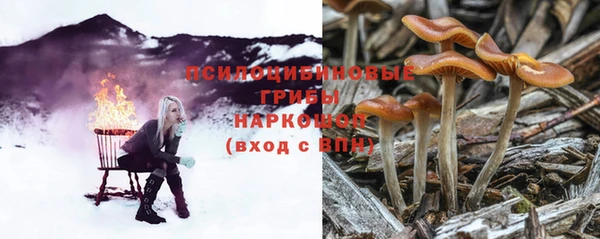 спайс Белокуриха